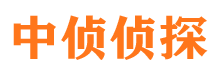 沈丘侦探公司